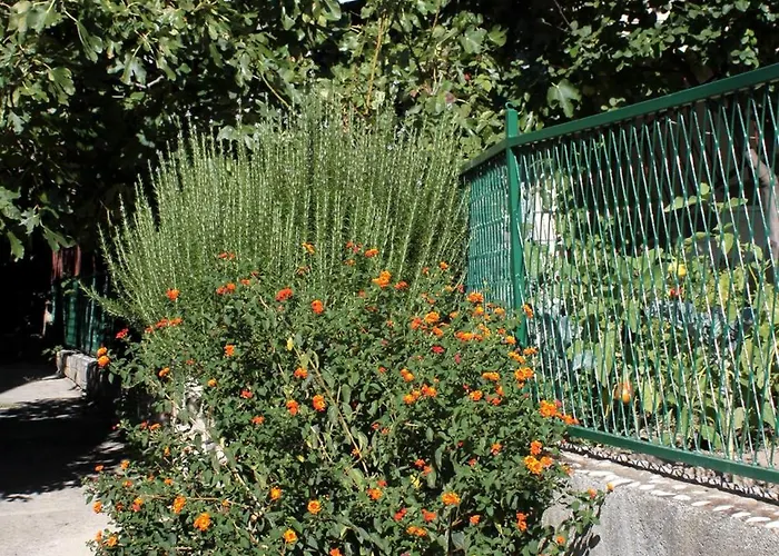 Guest house And With Parking Space - 9128