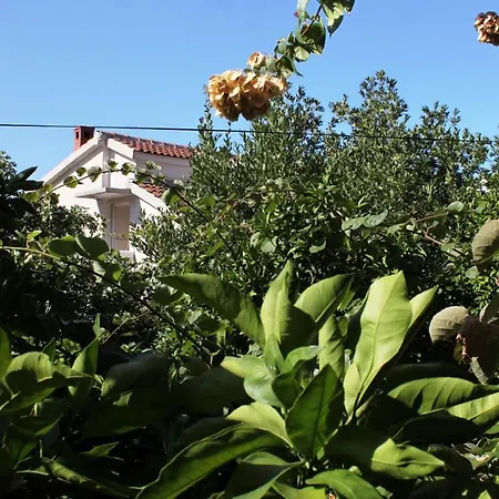 And With Parking Space - 9128 3* Makarska